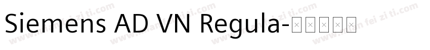 Siemens AD VN Regula字体转换